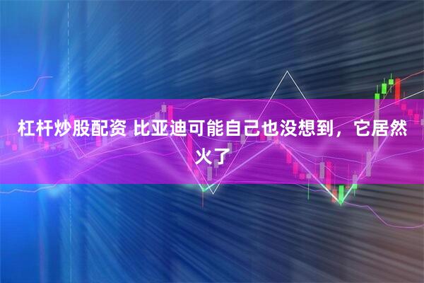 杠杆炒股配资 比亚迪可能自己也没想到,它居然火了