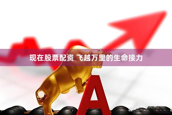 现在股票配资 飞越万里的生命接力